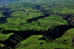 踐行綠色金融 新能源租賃助實(shí)體經(jīng)濟(jì)提質(zhì)增效